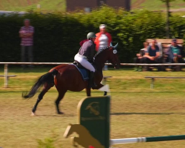 Reitturnier Wingerode 2023