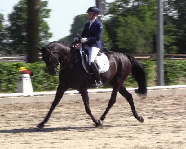 Reitturnier Fröndenberg 2023