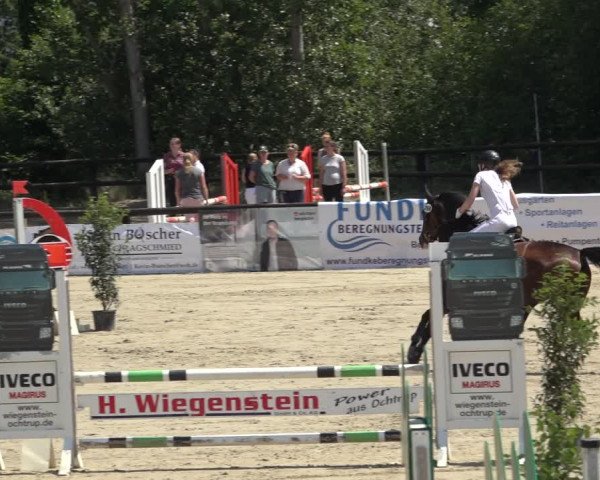 Reitturnier Ochtrup 2023