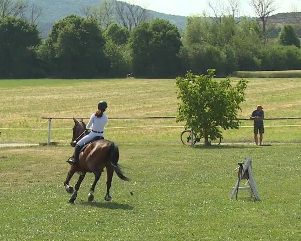 Reitturnier Bad Windsheim/Mfr. 2023