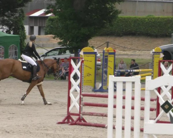 Reitturnier Handorf 2023