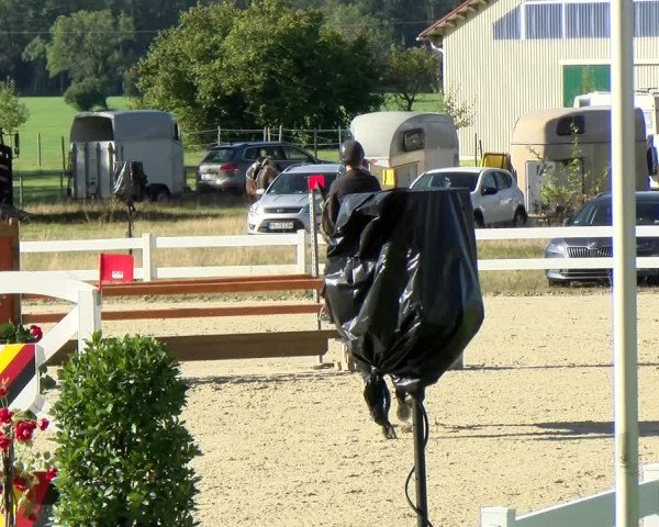 Reitturnier Isny-Rohrdorf 2021
