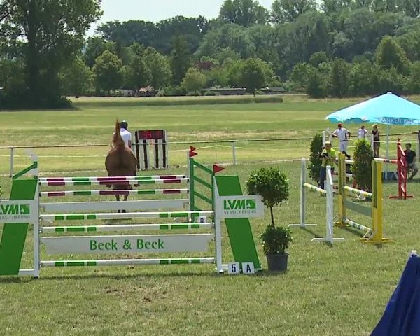 Reitturnier Bad Windsheim/Mfr. 2023