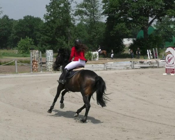 Reitturnier Handorf 2023