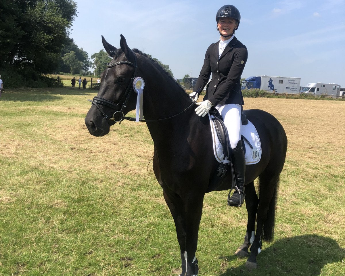 jumper Friend of mine KRM (Westphalian, 2016, from Finest)