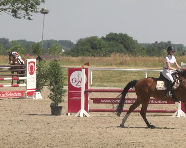 Reitturnier Biebesheim 2023