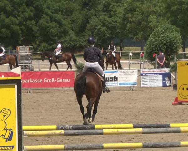 Reitturnier Biebesheim 2023