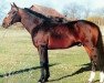 stallion Pythagoras (FR) (French Trotter, 1981, from Florestan (FR))