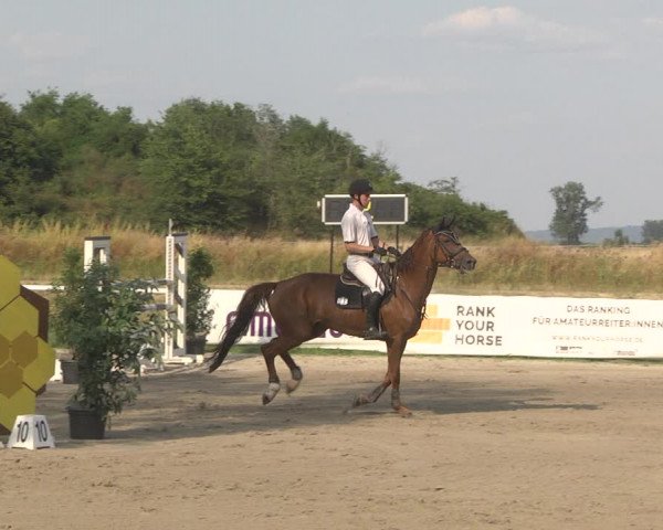 Reitturnier Biebesheim 2023