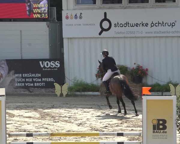 Reitturnier Ochtrup 2023