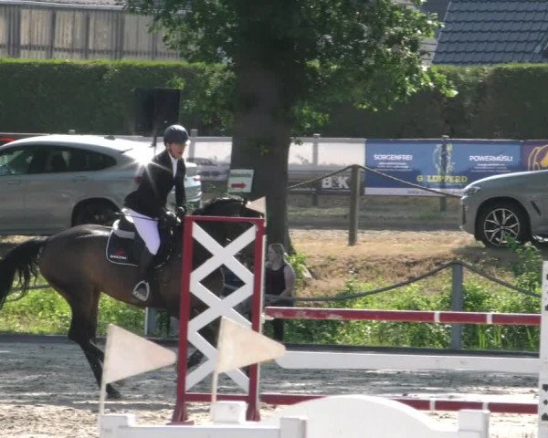 Reitturnier Handorf 2023