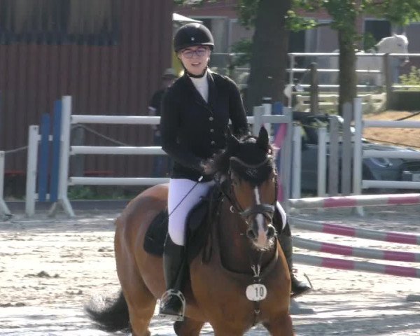 Reitturnier Handorf 2023
