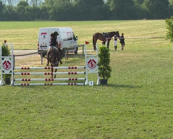 Reitturnier Bad Windsheim/Mfr. 2023