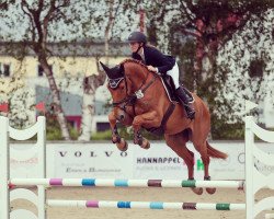 jumper Olaf 119 (Schwedisches Warmblut, 2019, from Poker de Mariposa Tn)