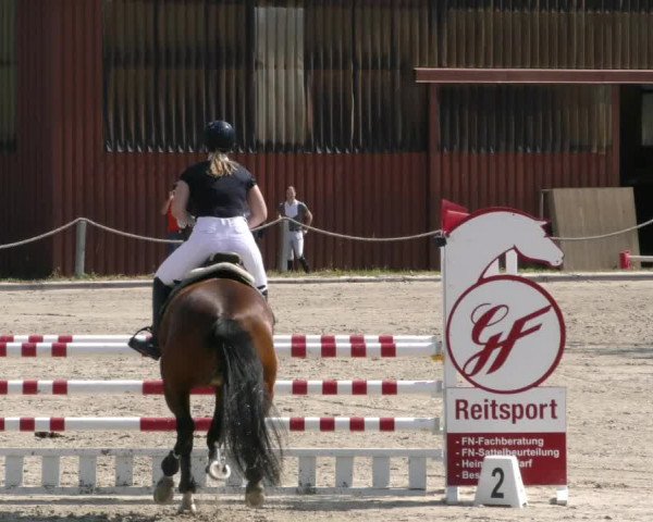 Reitturnier Handorf 2023