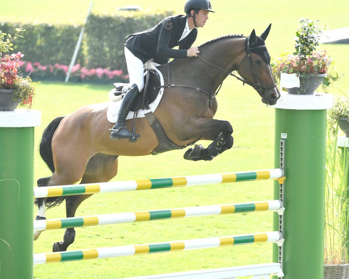 jumper Hello Franklin (anglo european sporthorse, 2011, from Billy Mexico)