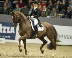 dressage horse du Soleil (Hanoverian, 2004, from De Niro)