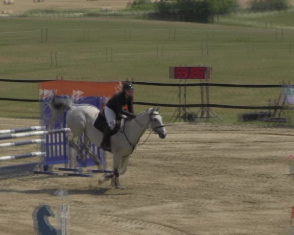 Reitturnier Angermünde/Pinnow 2023