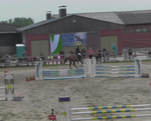 Reitturnier Angermünde/Pinnow 2023