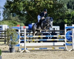 jumper Kalliope 11 (German Sport Horse, 2016, from Kasanova de La Pomme)