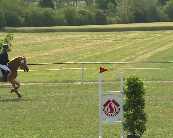 Reitturnier Bad Windsheim/Mfr. 2023