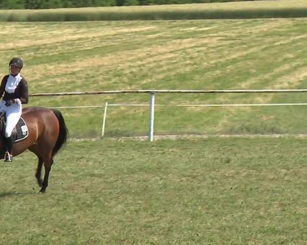 Reitturnier Bad Windsheim/Mfr. 2023