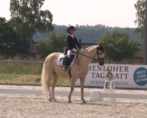 Reitturnier Rot am See- Musdorf 2023