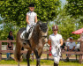 jumper Chin Chello 2 (Oldenburg show jumper, 2017, from Chin Fly)