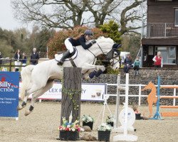 jumper Helsinki VDL (KWPN (Royal Dutch Sporthorse), 2012, from Baltic VDL)