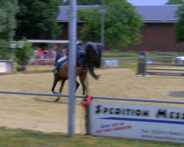 Reitturnier Coesfeld/Lette 2023