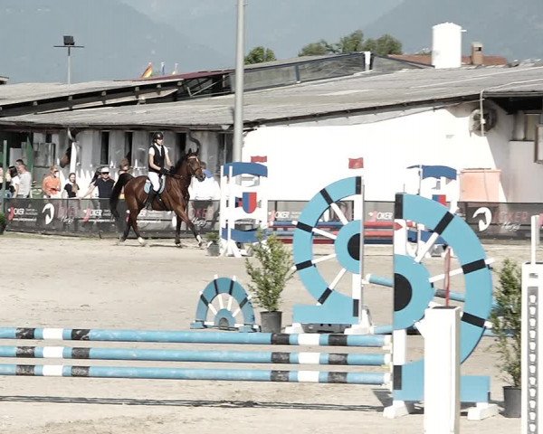 Reitturnier Giubiasco 2023