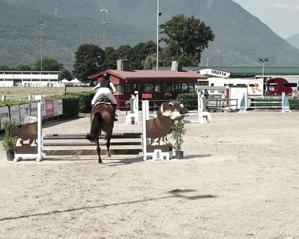 Reitturnier Giubiasco 2023