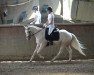 dressage horse Jazzman's dream in cream (Pony without race description, 2019)