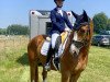 dressage horse Baloutino L (Hanoverian, 2019, from Balou Peggio)