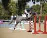 jumper Cosmic Girl (anglo european sporthorse, 2017, from Ramiro B)