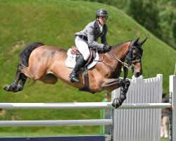 jumper Fabrice Dn (KWPN (Royal Dutch Sporthorse), 2010, from Emilion)