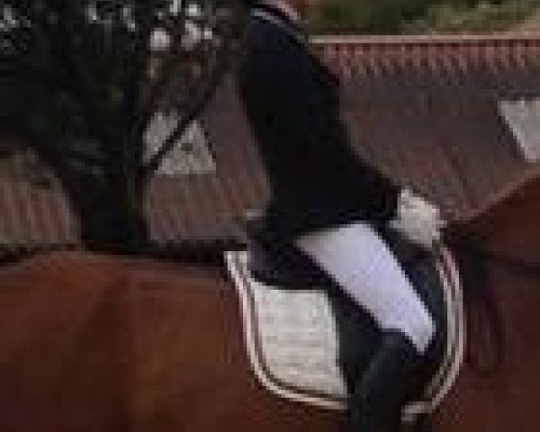 Marleen Fiedler