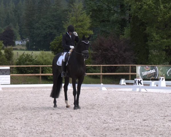 Reitturnier St. Ulrich am Pillersee 2023