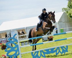 jumper Jolita L (KWPN (Royal Dutch Sporthorse), 2014, from Ustinov)