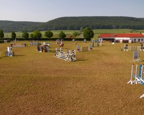 Reitturnier Wingerode 2023