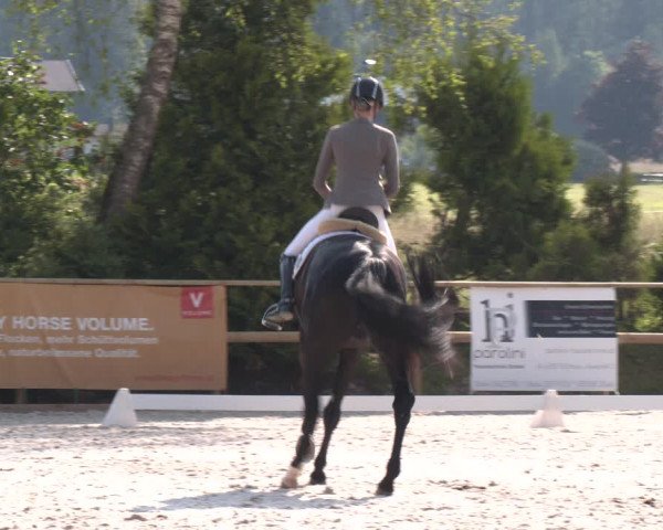 Reitturnier St. Ulrich am Pillersee 2023