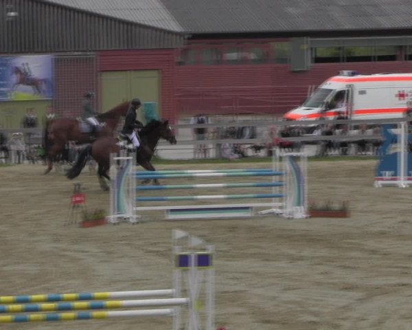Reitturnier Angermünde/Pinnow 2023