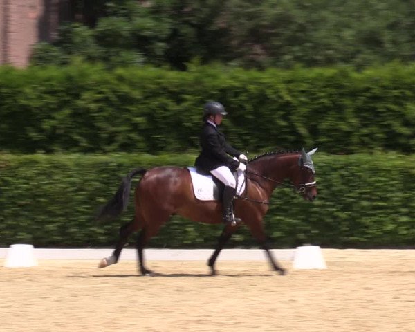 Reitturnier Wingerode 2023