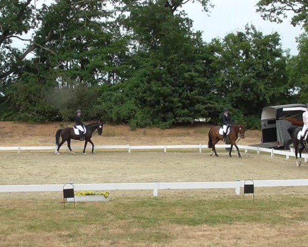 Reitturnier Coesfeld/Lette 2023