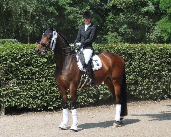 dressage horse Feomina (Westphalian, 2014, from Franziskus FRH)