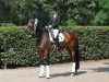 dressage horse Feomina (Westphalian, 2014, from Franziskus FRH)