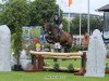 horse Islandwood Roxy Ella (Irish Sport Horse, 2011, from Kroongraaf)