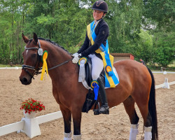 dressage horse Julie 68 (German Riding Pony, 2009, from Orchard Liberté)