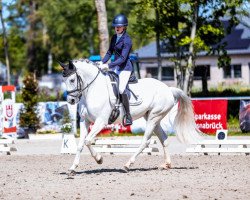 dressage horse Lou 94 (Pony without race description, 2012)