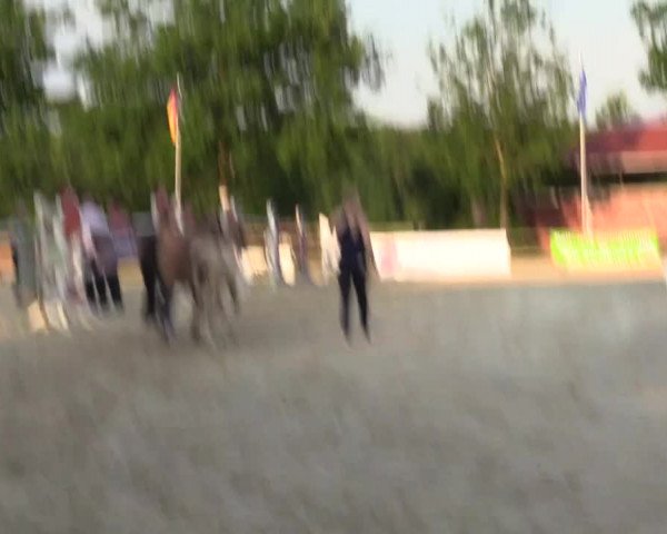 Sichtung zum Horse24-Fohlenchampionat 2023 in Münster-Albachten